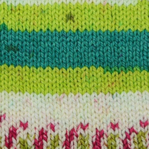 1114 09 Cactus Bloom Swatch